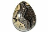 Polished Dragon Egg Septarian Geode - Free-Standing #339403-2